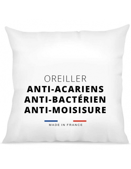 Oreiller Anti Acariens Et Antibactériens - Moelleux - 60 X 60 Cm - Action  Longue Durée - Hygiène Parfaite - Microfibre - Dou[u317] - Cdiscount Maison